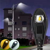 30W LED Lampe de jardin de jardin de passage couvert pour chemin blanc / blanc chaud, rue, lumière d'inondation DC12V