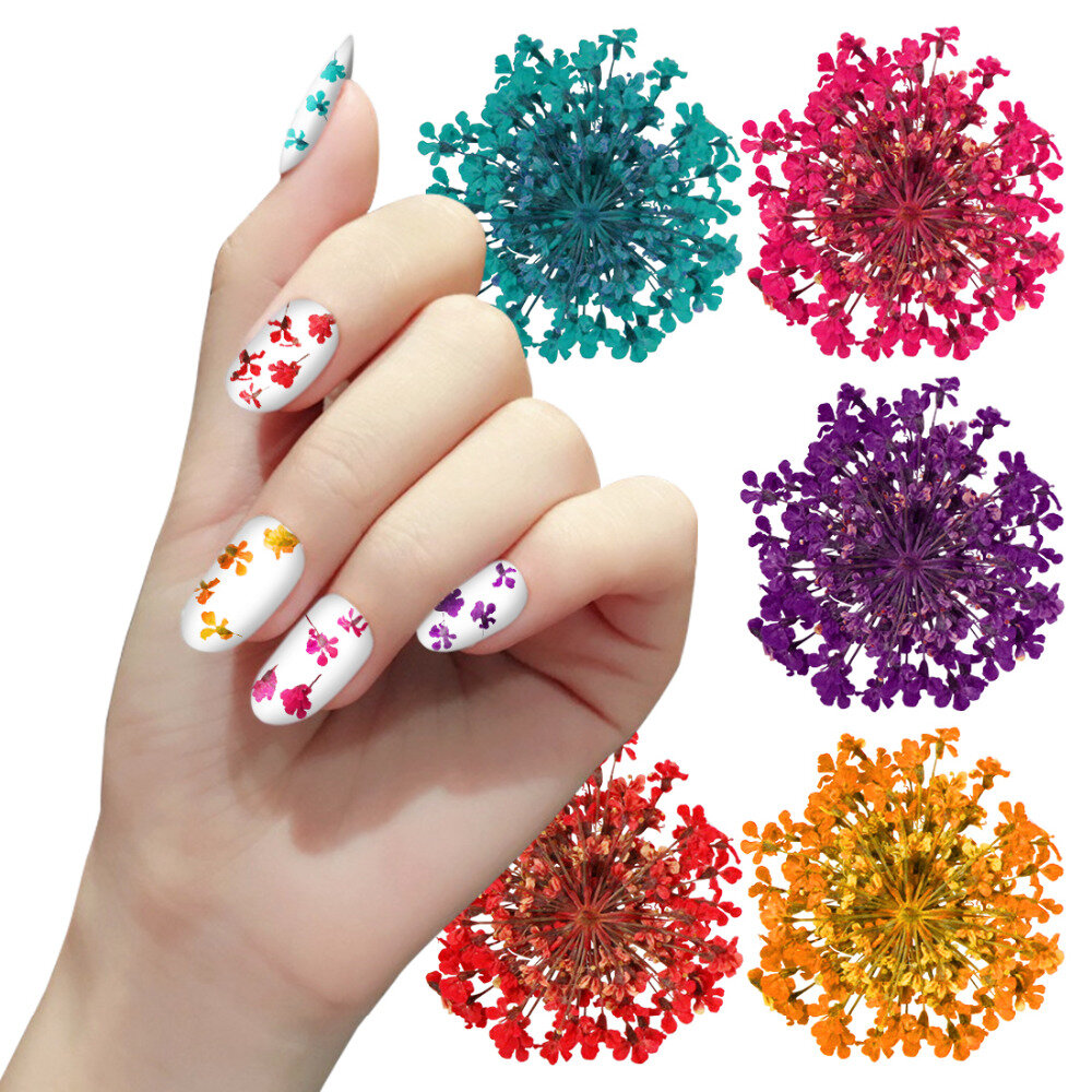 12 Couleur Truth Fleur Nail Art Décoration 3d Sec Séché Fleurs Autocollants Diy Manucure Outils