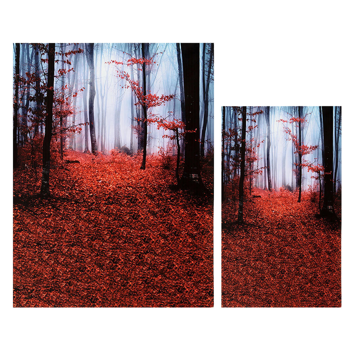 Silk Dawn Mangrove Forest Photo Booth Background Wallpaper