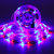 2M 3M 5M 10M SMD2835 non impermeabile RGB LED Light Strip + 24Keys remoto Control Outdoor KTV Hotel DC12V