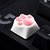 Keycap Cat Claw Keycap PBT Cherry Blossom Keycap для Механический Клавиатура Розовый Черный
