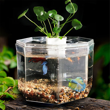 Mini Clear Acryl Betta Aquarium Zucht Isolation Box Desktop